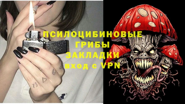 spice Тайга