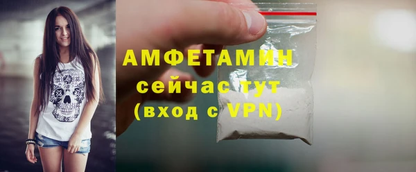 гашик Пересвет