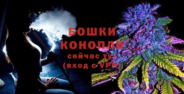 гашик Пересвет