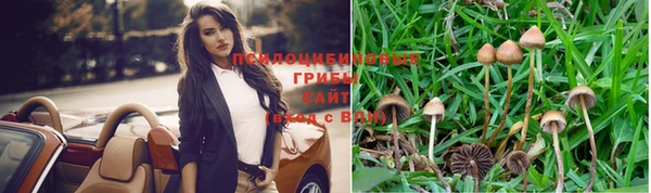 spice Тайга